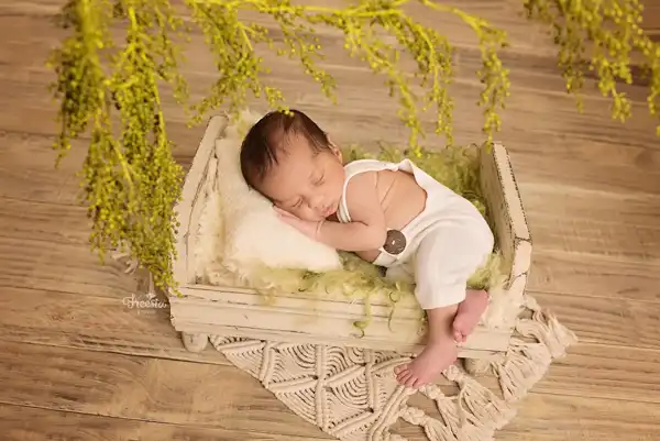 Freesia Photography Studio
